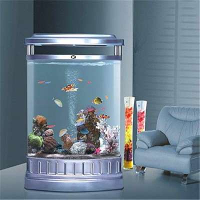 Fish small fish tanks aquarium